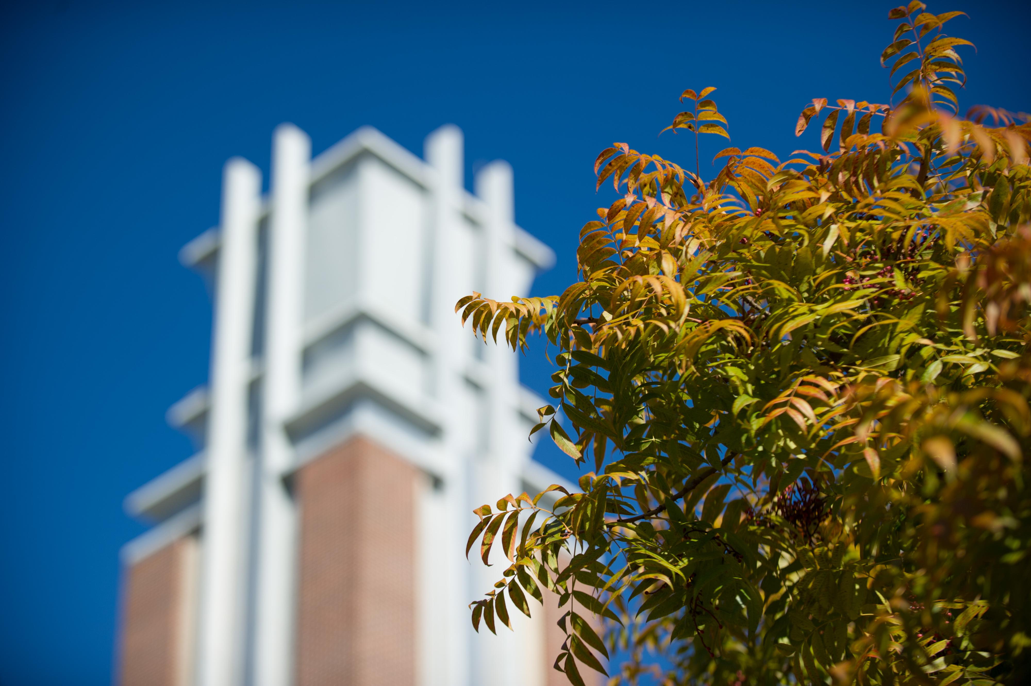 academic program assessment