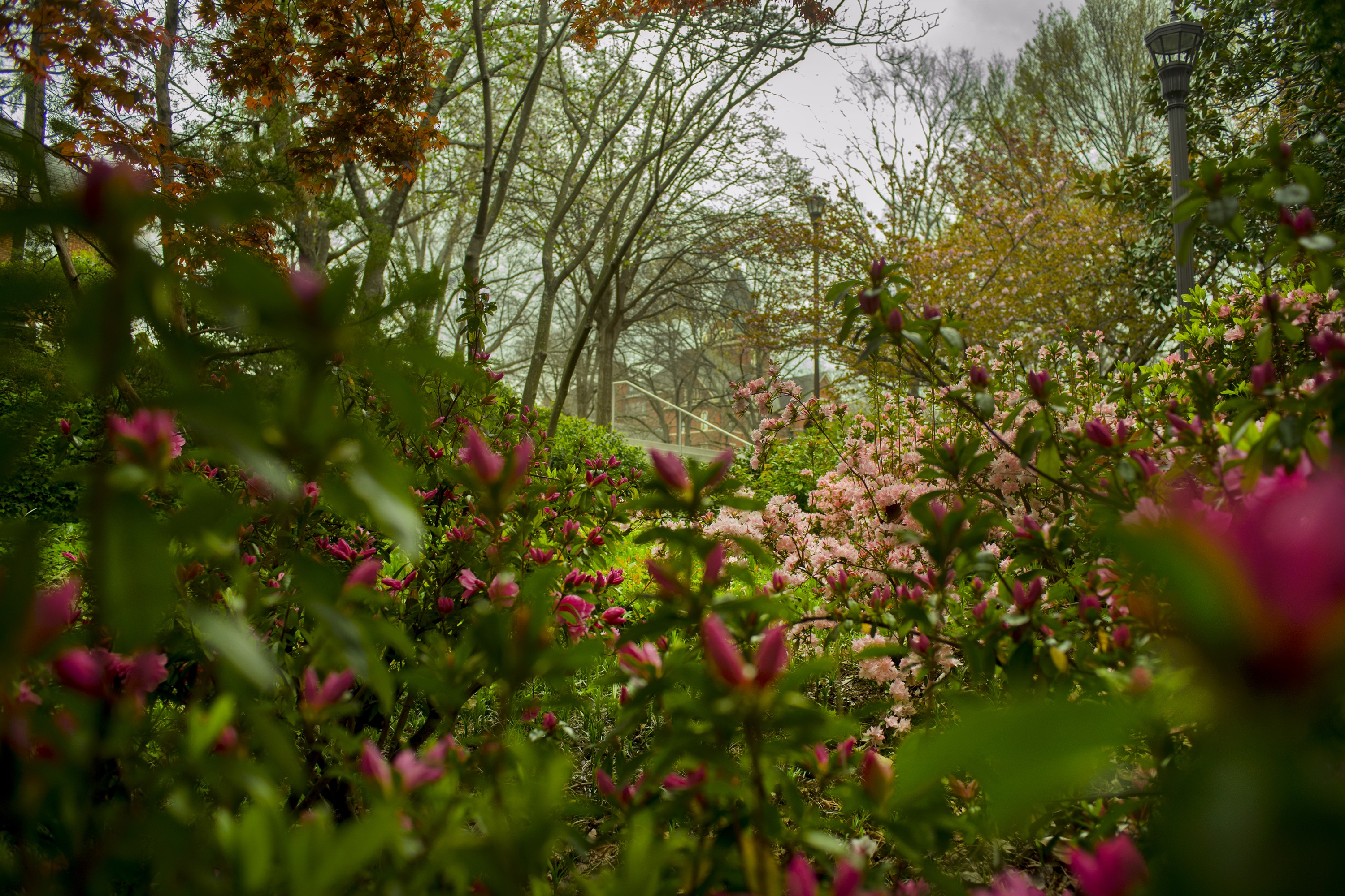 institute survey coordination committee